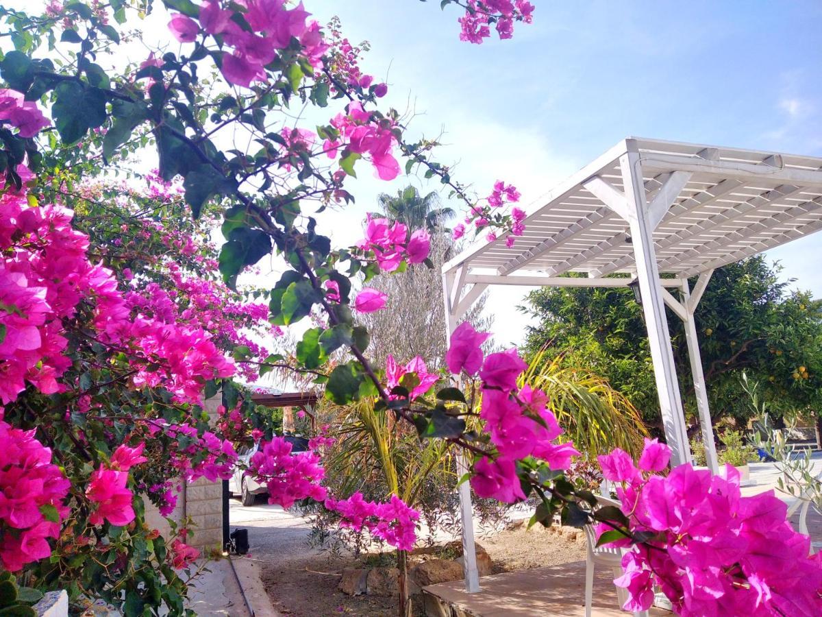 Finca El Aulagar มาลากา ภายนอก รูปภาพ