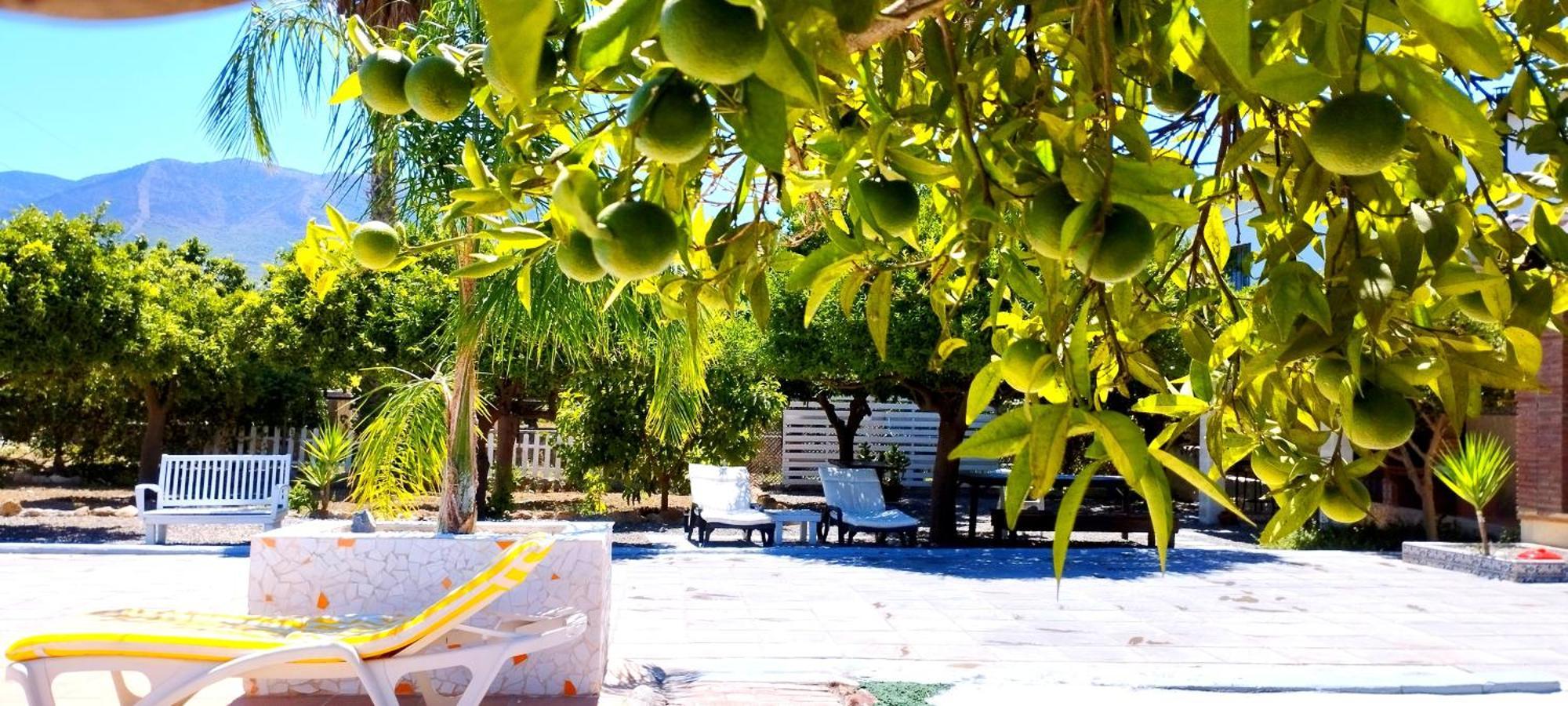 Finca El Aulagar มาลากา ภายนอก รูปภาพ